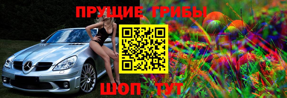 купить  сайты  Галлюциногенные грибы Psilocybine cubensis  Белорецк  Вход с VPN  Галлюциногенные грибы мицелий 
